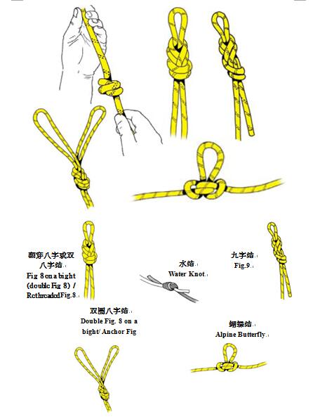 常用绳结